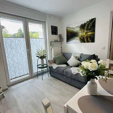 Moderne Nahe Sorpesee, Wlan, Parkplatz-haus Am Kraehenbach-sorpe Apartman