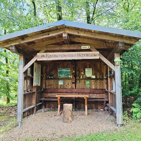 Moderne Nahe Sorpesee, Wlan, Parkplatz-haus Am Kraehenbach-sorpe Apartman *